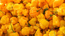 Scotch Bonnet (also Known As Bonney Peppers, Or Caribbean Red Peppers), Variety Of Chili Pepper