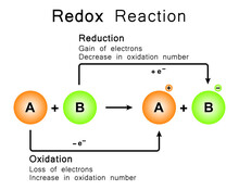 Redox Reaction. Oxidation And Reduction. Colorful Symbols. Vector Illustration.