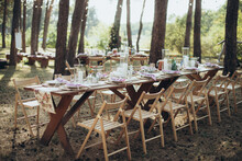 Rectangular Wedding Festive Set Table In The Patio, Garden In Nature