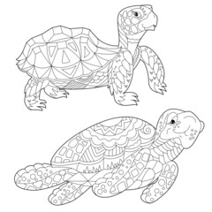 Wall Mural - Contour linear illustration for coloring book with decorative paradise tortoise. Beautiful animal, anti stress picture. Line art design for adult or kids in zen-tangle style, tattoo and coloring page.