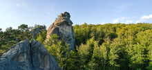 Panoramic View Of Bright Landscape With Green Forest Trees And Big Rocky Boulders Between Dense Woods In Summer. Beautiful Scenery Of Wild Woodland