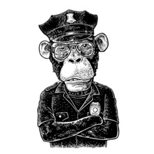 Monkey With Paws Crossed Dressed In Police Uniform. Vintage Vector Monochrome Engraving