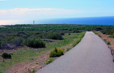 Wall Mural - famous road of balearic islands leading to the lighthouse tourist attraction of formentera