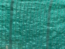 Green Net Texture
