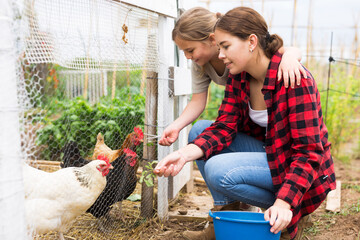 Wall Mural - Young attractive woman and a teenage girl, who are in the backyard of the plot near the chicken coop, feed the chickens