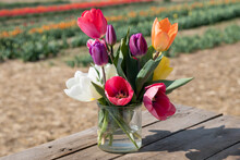 Bunch Of Colorful Tulips On Garden Table