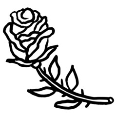 Wall Mural - Black and white vector rough sketch of a blooming rose stem. Hand-drawn outline doodle isolated on transparent background
