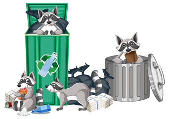 Wall Mural - Raccoons searching food in the trashcans