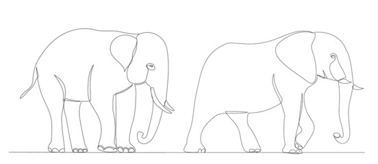 Wall Mural - elephant drawing by one continuous line, sketch vector