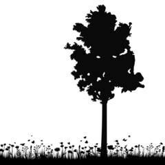 Wall Mural - tree silhouette, on white background, isolated, vector