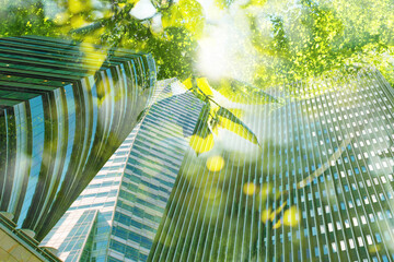 Wall Mural - Go green concept. Low angle view of modern building and trees on sunny day