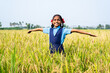 Happy village school girl kid rotating with arms stretched in middle paddy filed during harvesting season - concept of freedom, happiness and rural lifestyles