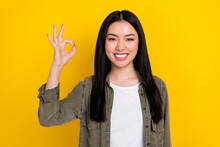 Portrait Of Good Mood Beaming Lady Show Okay Symbol Promote Shopping Season Isolated On Yellow Color Background