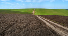 Road Through Plowed Field, Hilly Green Landscape