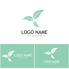 Mint leaves flat vector color icon template illustration design