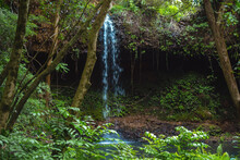 A Small Gentle Waterfall In A Hidden Oasis In The Jungle On The Hawaiian Island Of Kauai