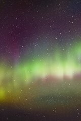 Sticker - Night starry sky and Northern lights. Purple green aurora borealis