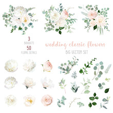 Blush Pink Rose And Sage Greenery, Ivory Peony, Magnolia, Beige Dahlia, Ranunculus Flowers, Eucalyptus Vector Collection.