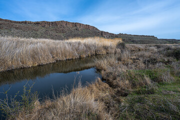 Wall Mural - Along the Crab Creek Trail in the Columbia National Wildlife Refuge, WA