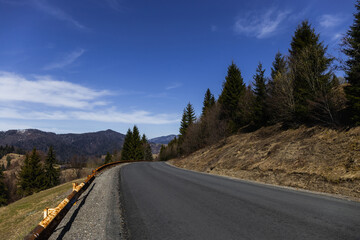 Wall Mural - Empty road near spruce trees in mountains.