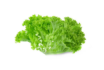 Poster - fresh green lettuce salad leaves isolated on white background