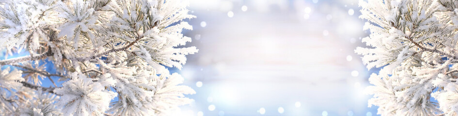  Christmas tree covered snow and ice crystals,  abstract New Year background. Copy space. Banner