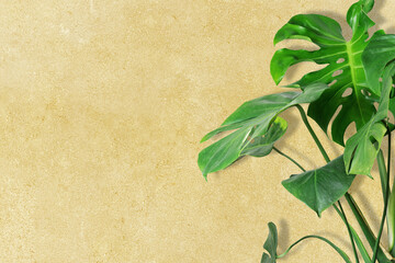 Wall Mural - Monstera leaf yellow background