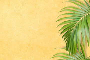 Wall Mural - palm leaf yellow  background