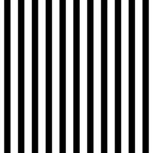 Seamless Pattern With Black And White Vertical Stripes