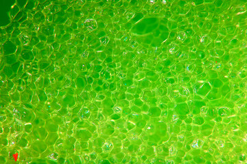 Wall Mural - abstract green macro background of a molecule