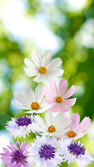 Wall Mural - beautiful flowers in the garden on blure background closeup