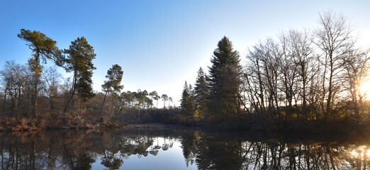 Etang de Lamoulasse en hiver (Sud-ouest France)
