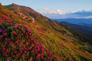 Wall Mural - Eastern Carpathians in the evening. Ukraine.