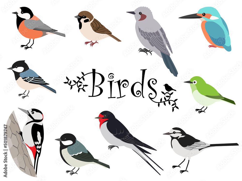 日本の鳥のイラスト アート作品 かわいい日本の野鳥イラストセット Stock Vector | Adobe Stock