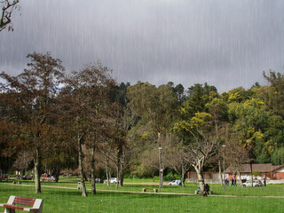 Wall Mural - 
THE BEAUTIFUL PARK OF ECUADOR IN THE CITY OF CONCEPCION CHILE