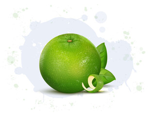 Fresh green Sweet lemon fruit vector illustration on white background