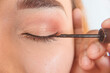 Closeup of applying liquid eyeliner to an asian woman. Professional makeup techniques.