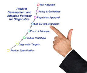 Wall Mural - .Product Development and Adoption Pathway