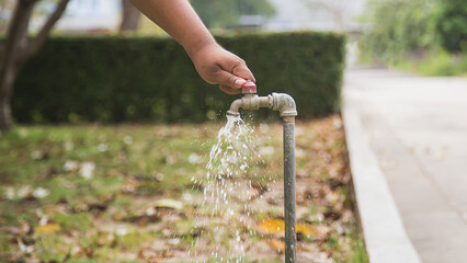 Wall Mural - Turn off the water tap in the lawn.