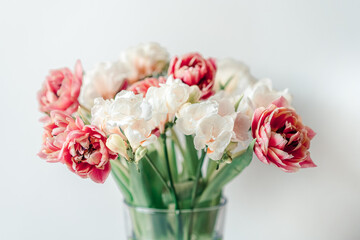 Wall Mural - Pink Tulips Flowers Bouquet on a Light Background