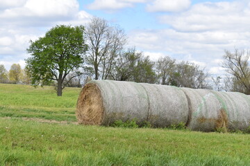 Poster - Hay Bales in a Farm Field