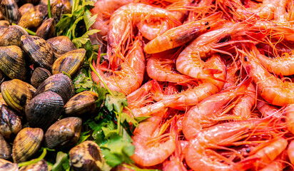 Wall Mural - Fresh sea shrimps and oysters on the counter