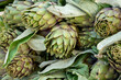 Fresh raw heads of artichokes plants for sale on farmers market