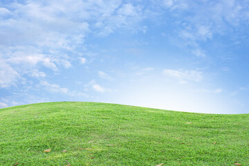 Wall Mural - green grass and blue sky background