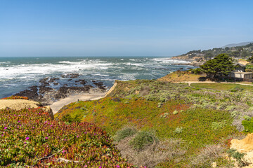 Poster - Scenic view of the Pacific Coast. J V Fitzgerald Marine Reserve.