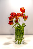 Fototapeta Tulipany - Czerwone tulipany w szkle na stole na białym tle