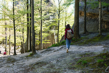 Wall Mural - woman hiker with backpack walking by forest trail