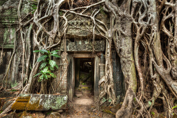 Fototapete - Travel Cambodia concept background - ancient stone door and tree roots, Ta Prohm temple ruins, Angkor, Cambodia
