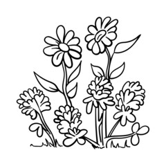 Wall Mural - Black silhouettes of grass, flowers and herbs isolated on white background. Hand drawn sketch flowers and insects