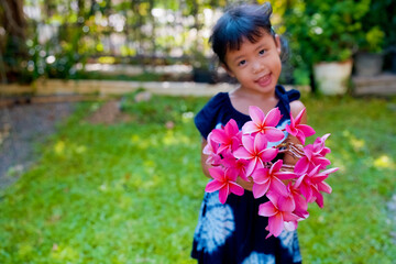 Wall Mural - Small girl holding bouquet pink Frangipani in garden.